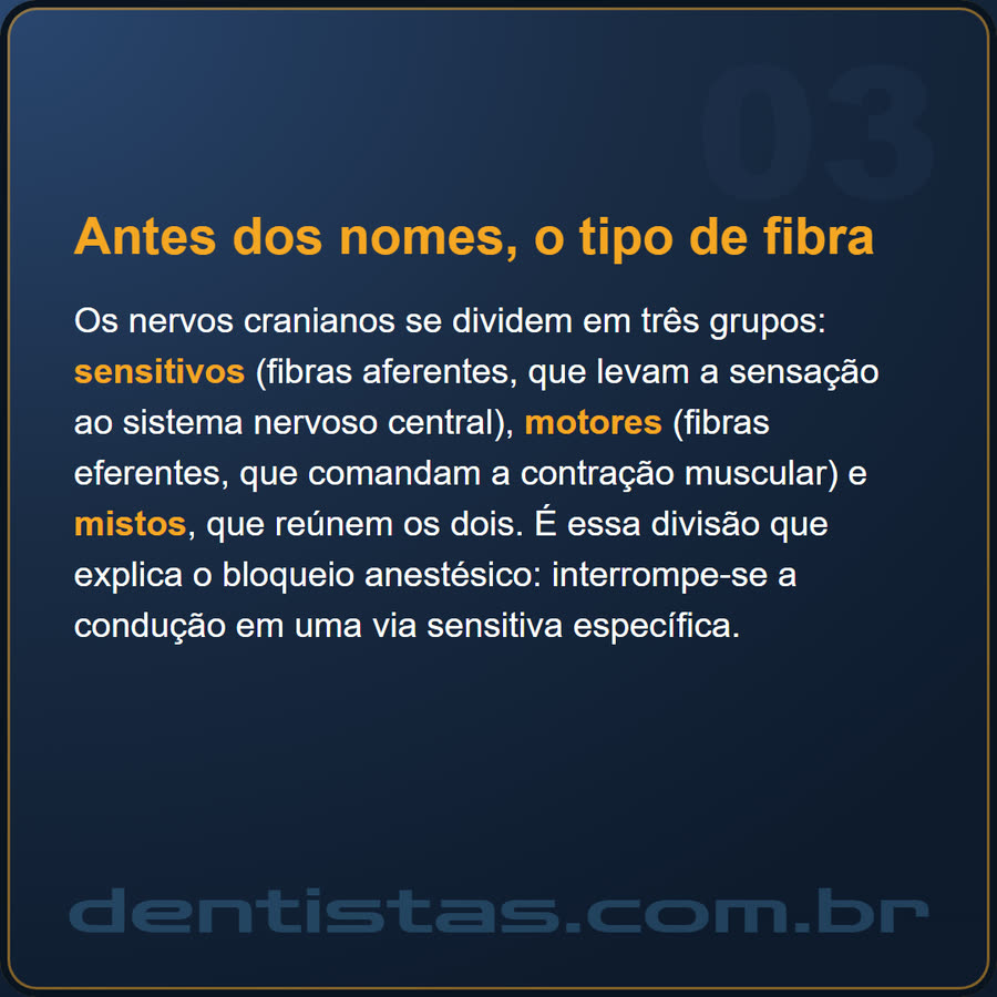 Slide 3 de 6 da edição