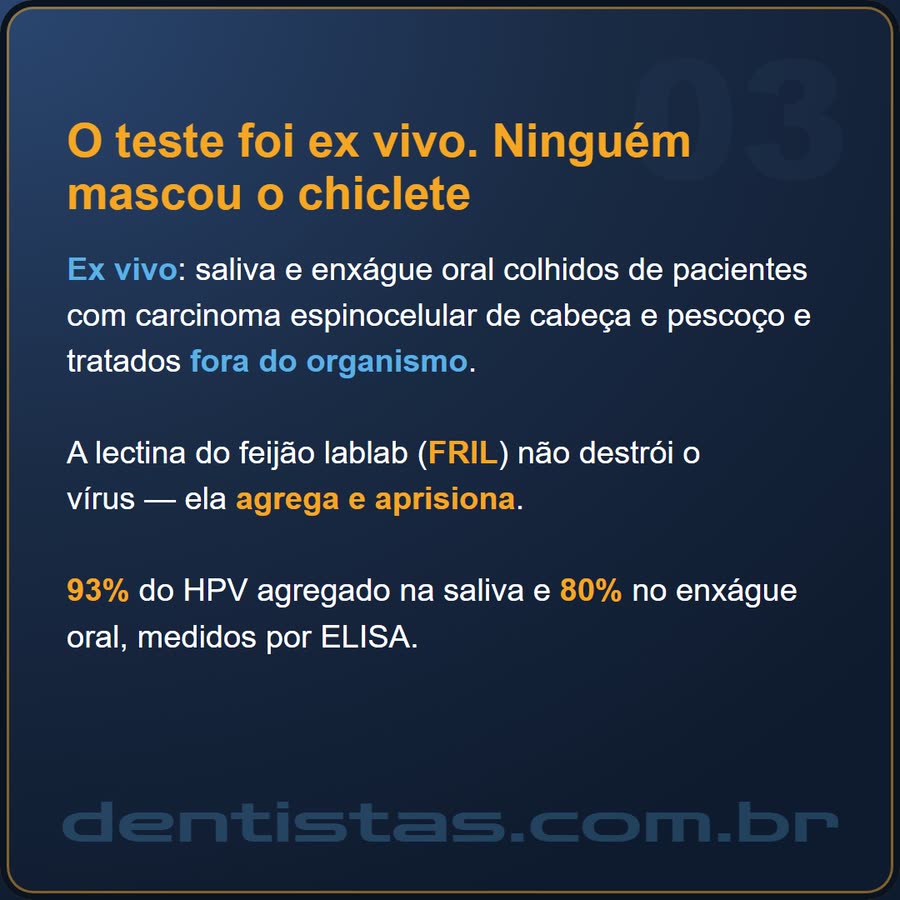 Slide 3 de 6 da edição