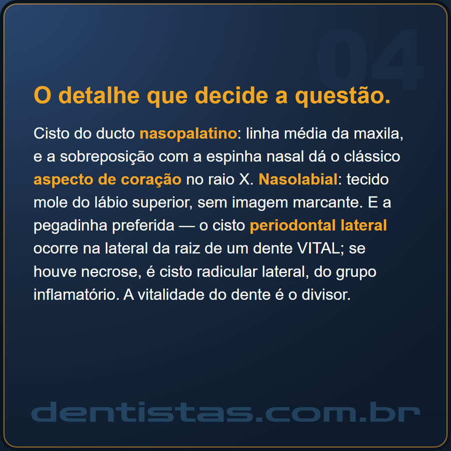 Slide 4 de 6 da edição