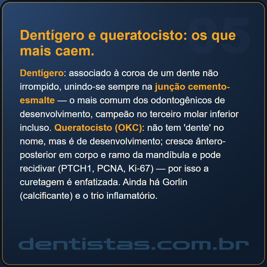 Slide 5 de 6 da edição