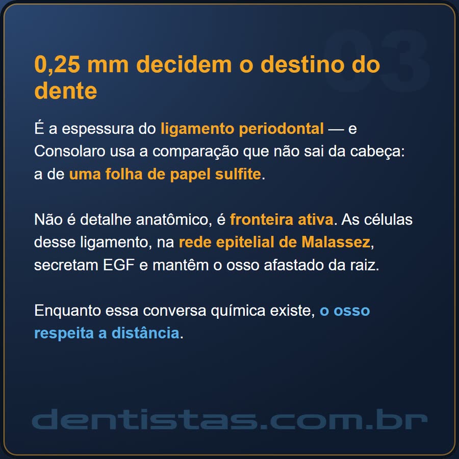 Slide 3 de 6 da edição