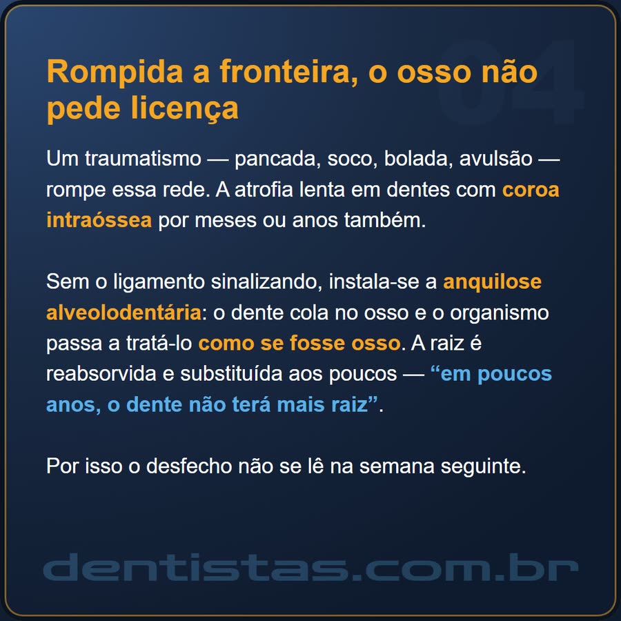 Slide 4 de 6 da edição