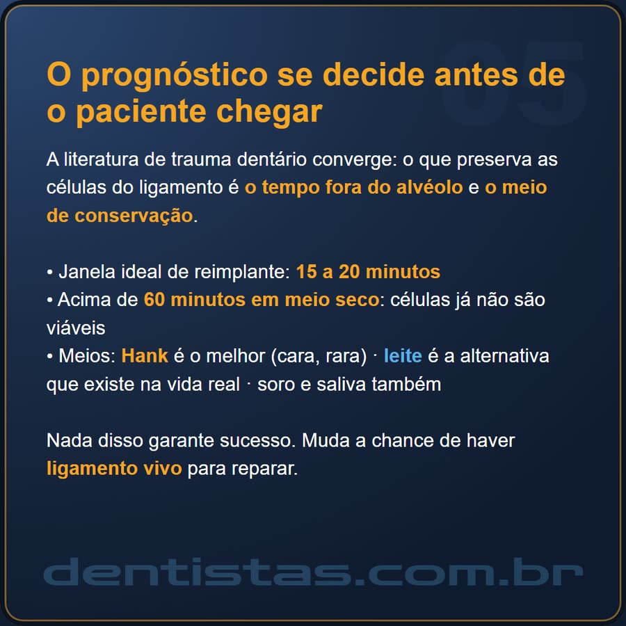 Slide 5 de 6 da edição
