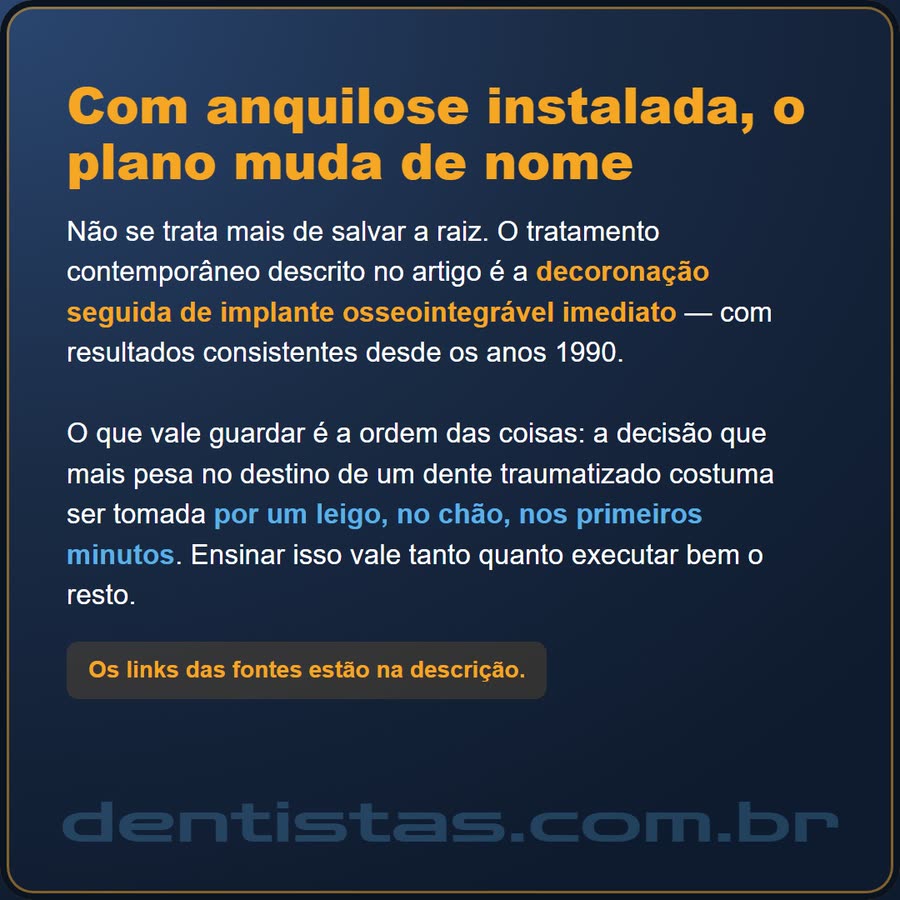 Slide 6 de 6 da edição