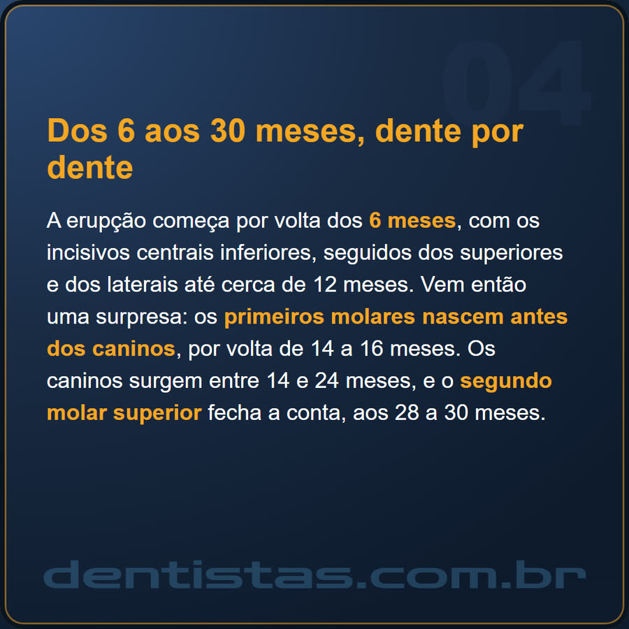 Slide 4 de 6 da edição