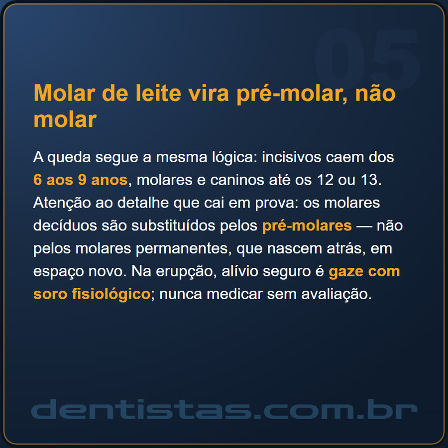 Slide 5 de 6 da edição