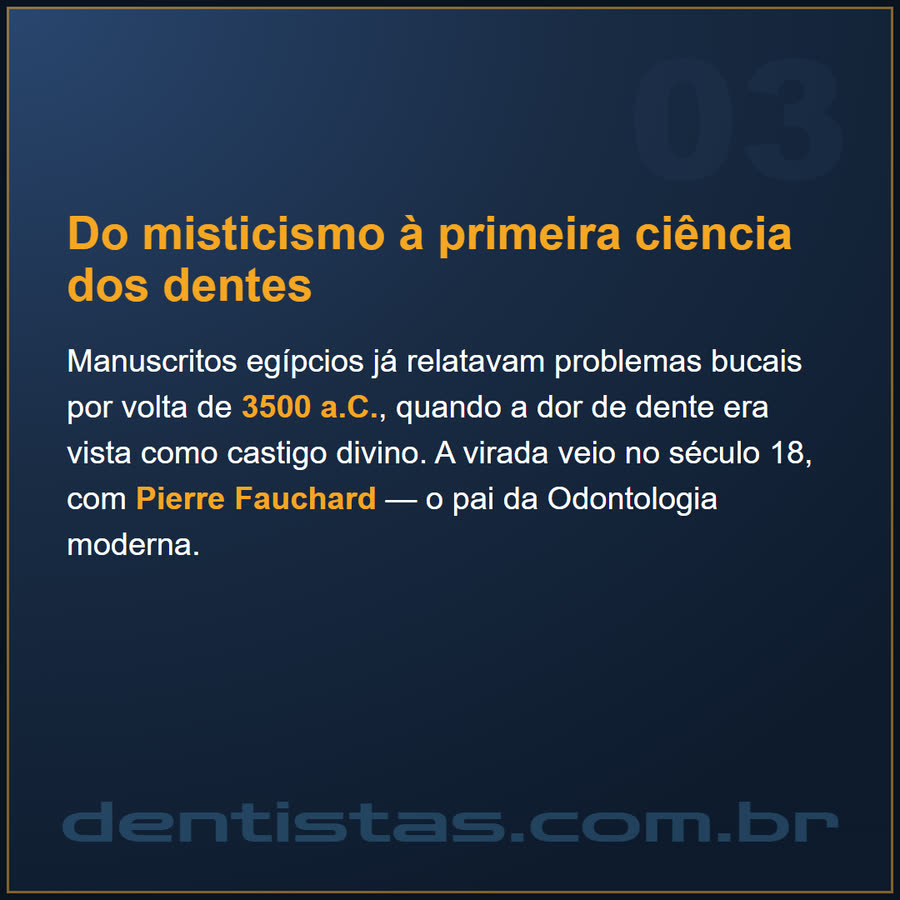Slide 3 de 5 da edição
