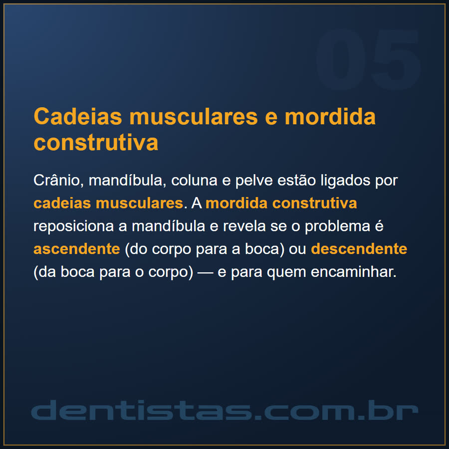 Slide 5 de 6 da edição
