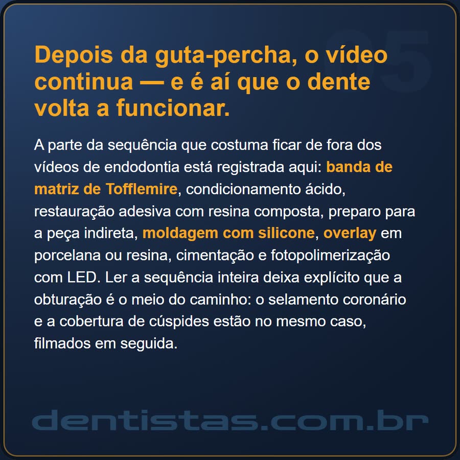 Slide 5 de 6 da edição